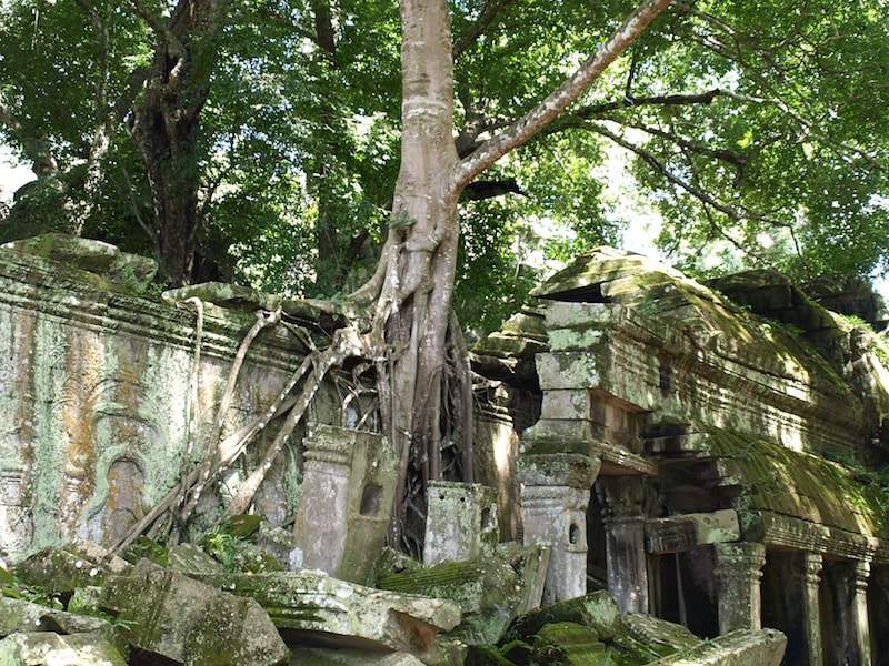 Cambodia-Ta_prohm-walls