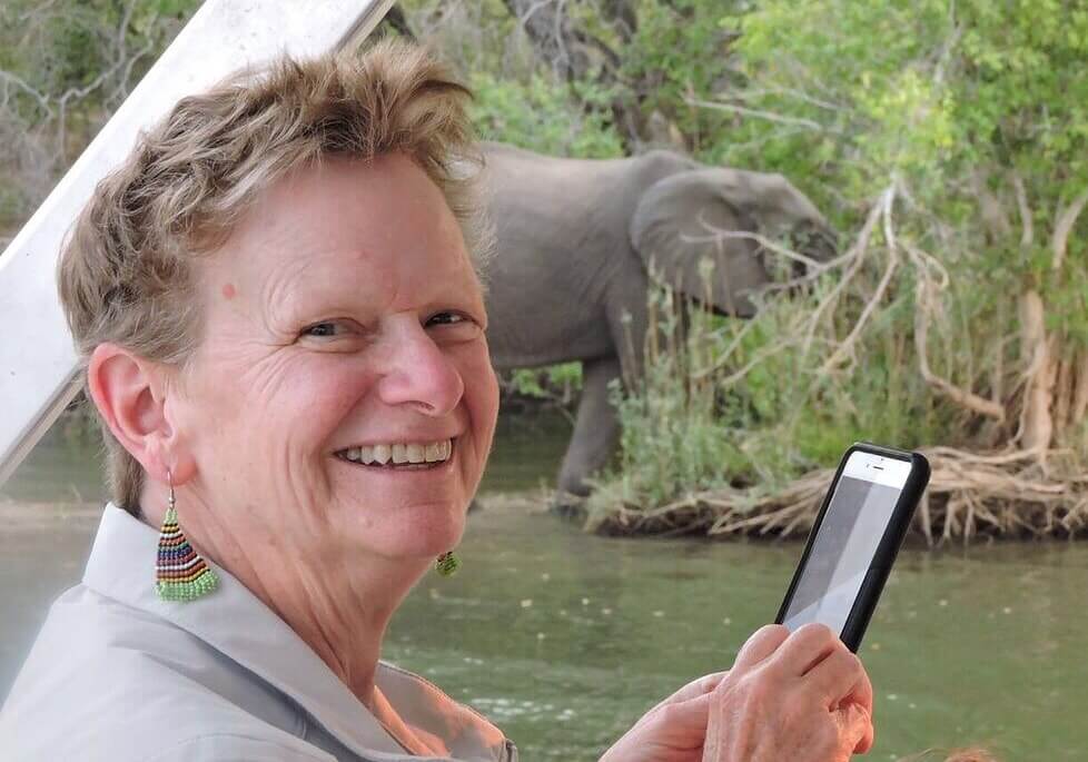 elephant-viewing-on-safari