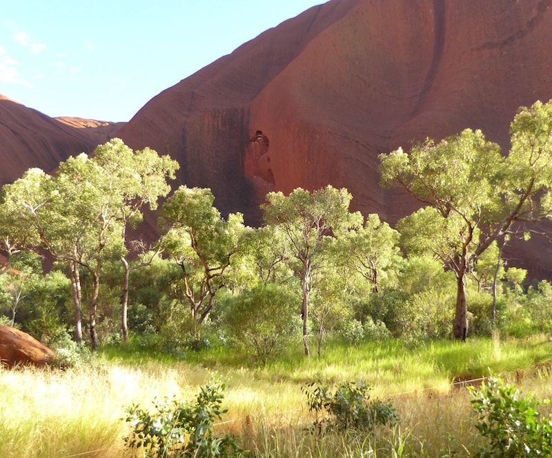 cycling-uluru-green-belt