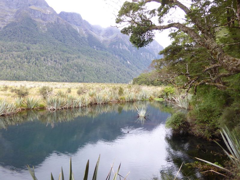 Mirror-Lakes-New-Zealand
