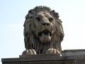 lionheads-szechenyi-chain-bridge