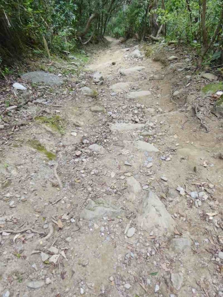 downhill-old-zhuilu-trail-taroko-gorge
