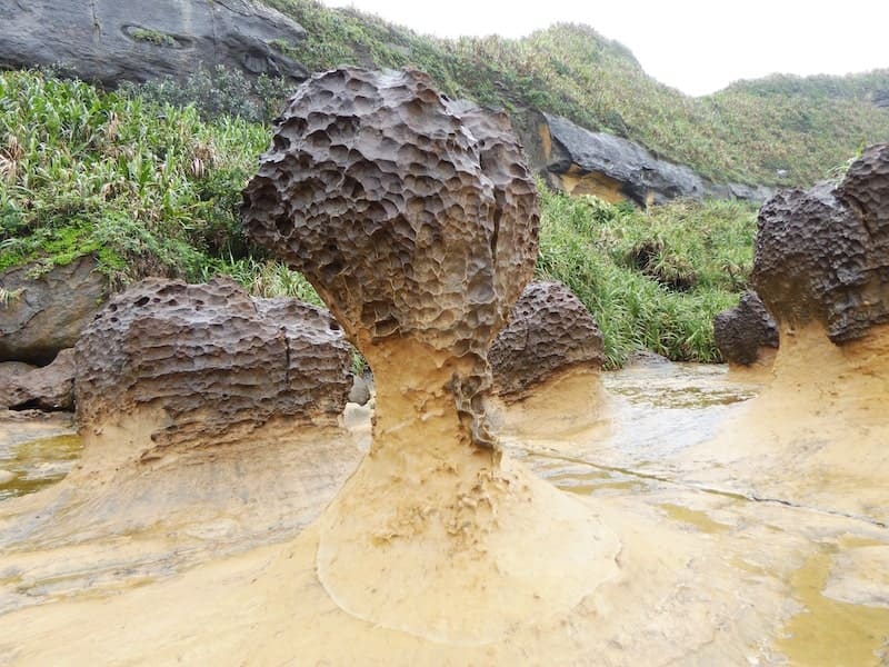 yehliu-mushroom-rock