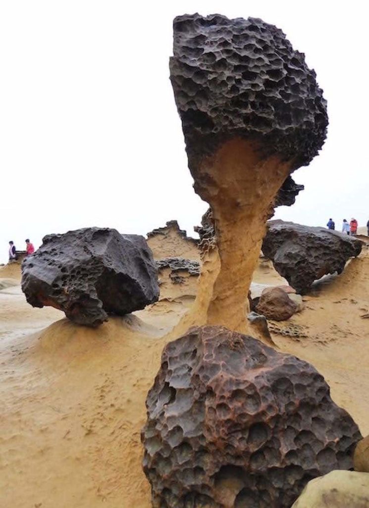 yehliu-mushroom-tops-stems