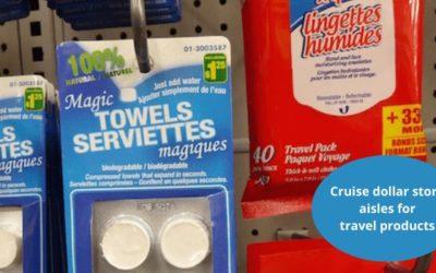Save money for where it counts: cruise dollar store aisles for travel products