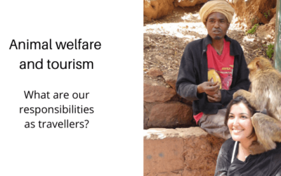 Ethical animal tourism: what are our responsibilities as travellers?