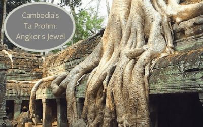 Cambodia’s Ta Prohm: Angkor’s jewel
