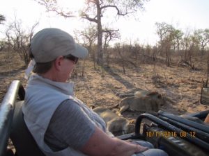 game-drive-lions-safari-africa
