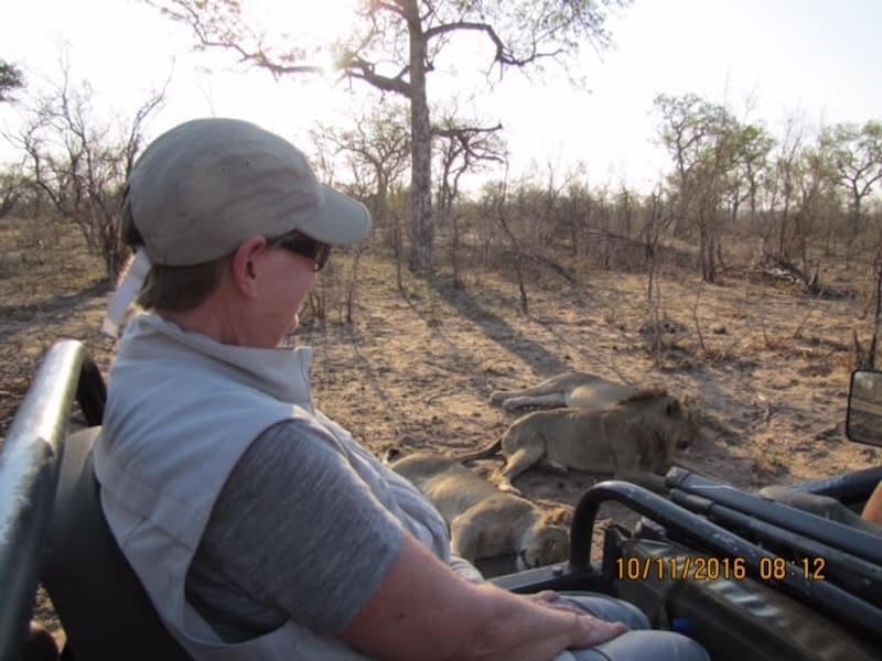 game-drive-safari-lions