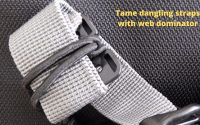 Effectively tame dangling straps with Web Dominator