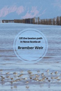 off-the-beaten-path-in-nova-scotia-at-Bramber-Weir