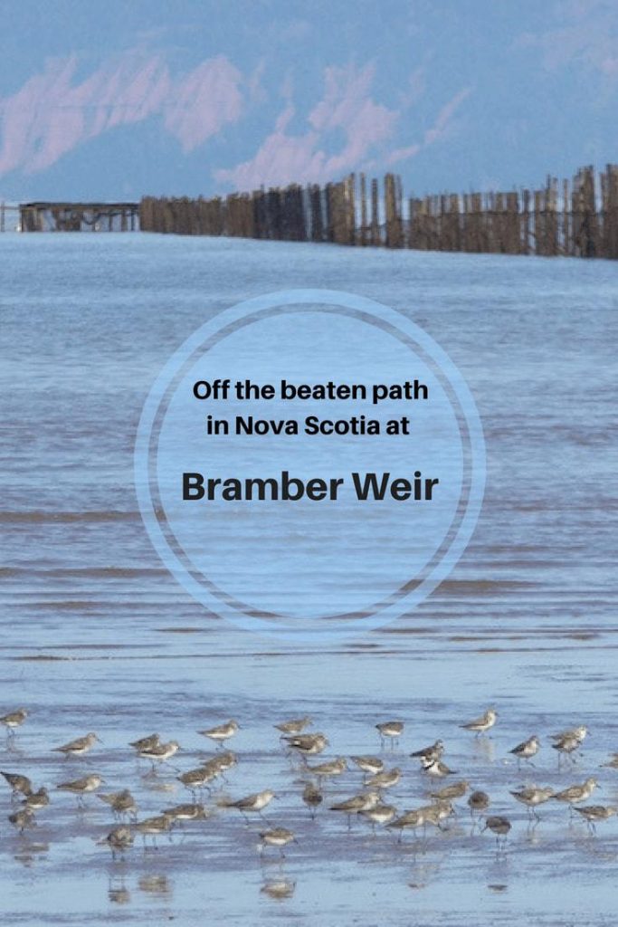 off-the-beaten-track-in-nova-scotia-at-Bramber-Weir