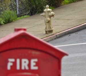 gold-fire-hydrant-San-Francisco