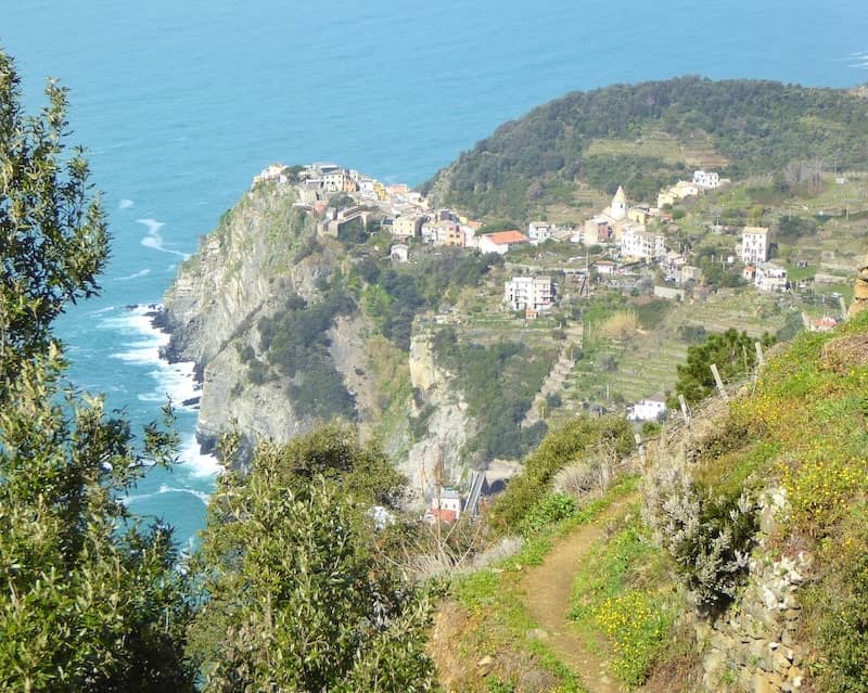 Cinque-Terre-hillside-trail-to-Corniglia