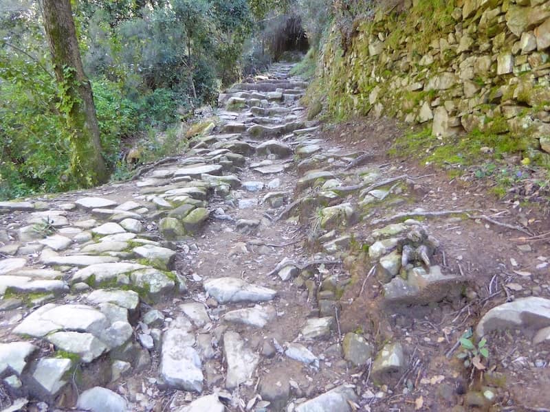 Cinque-Terre-rocky-trail-above-Corniglia 