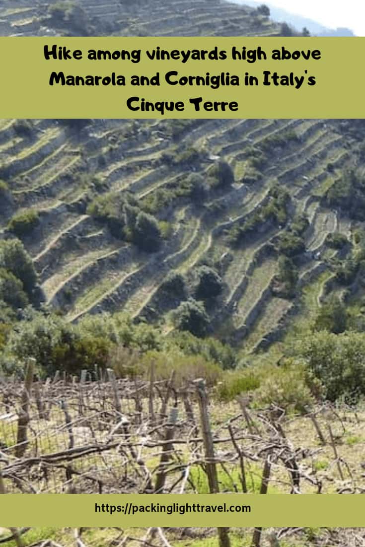 hike-through-Cinque-Terre-vineyards
