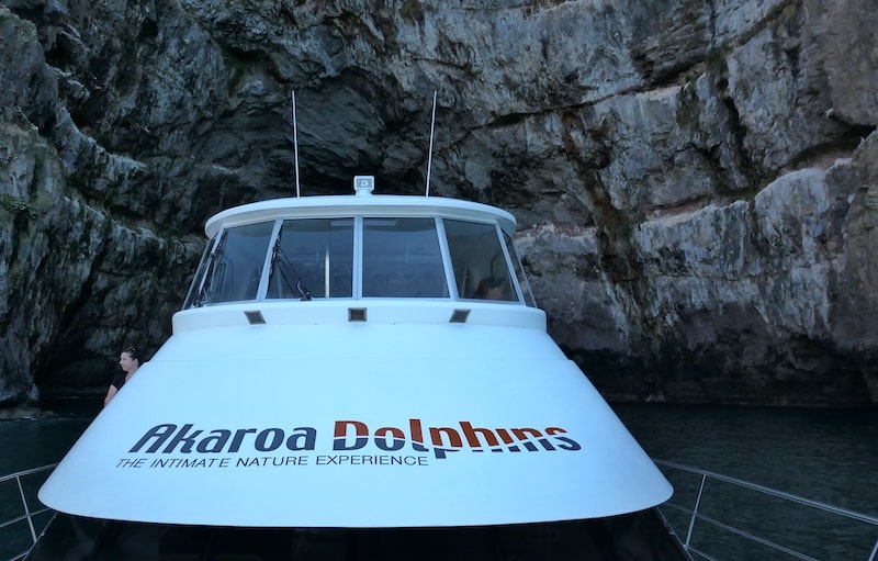 Akaroa-Dolphins-boat