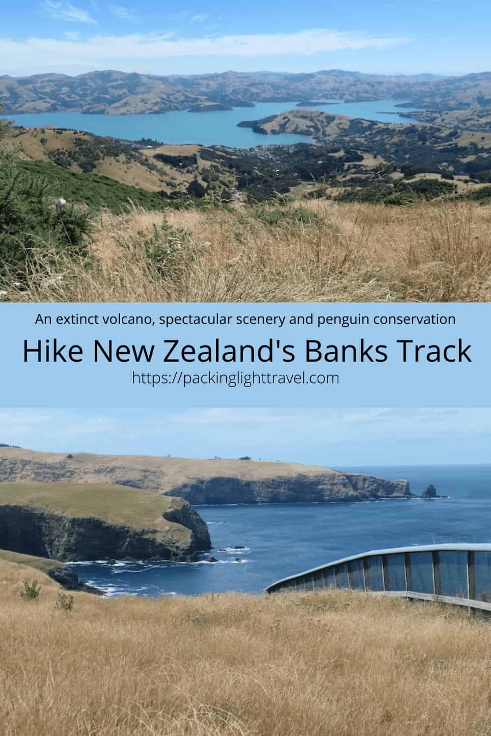 hike-Banks-Track-in-NZ