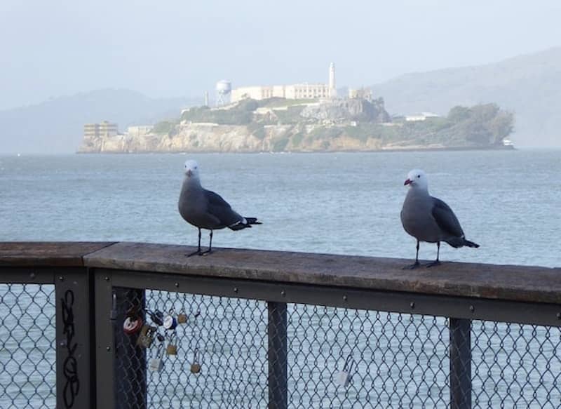 alcatraz-from-fishermans-wharf