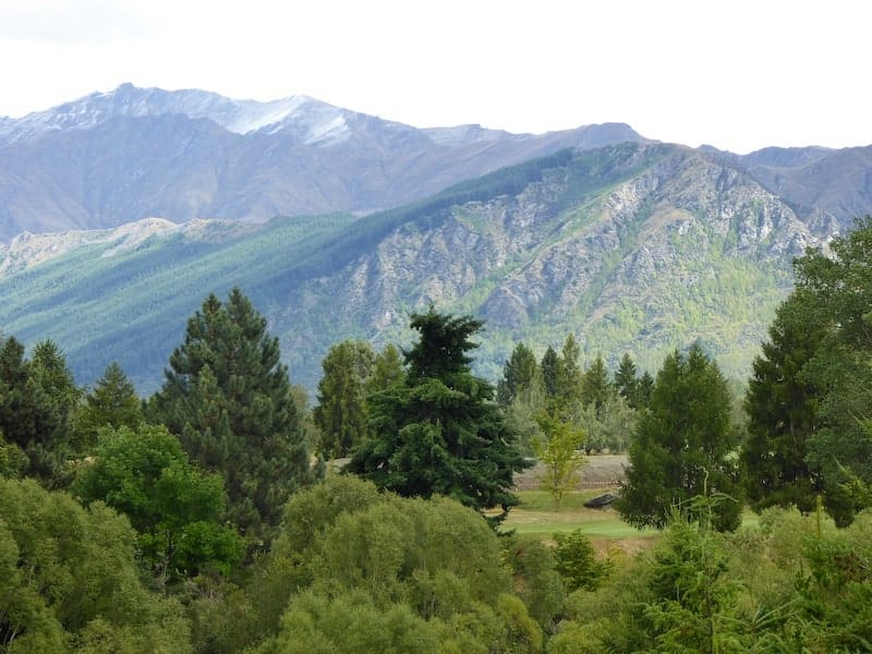 scenery-beside-queenstown-trail-NZ