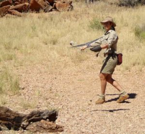 australian-lelstrel-alice-springs-desert-park