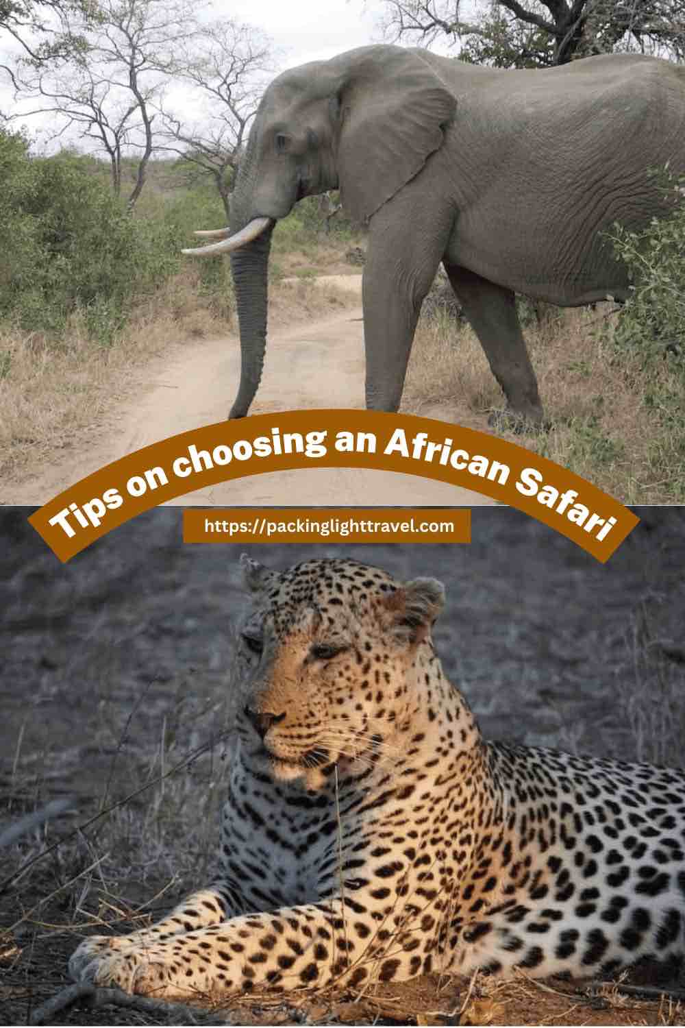 tips-on-choosing-an-african-safari