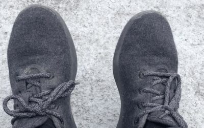 Allbirds Merino Wool Runners Review of a Travel Favourite