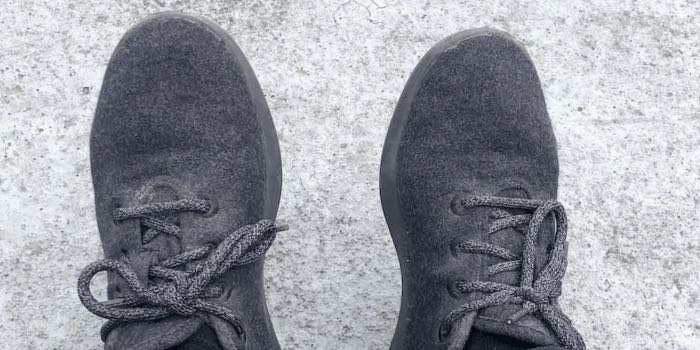 Allbirds Merino Wool Runners Review of a Travel Favourite