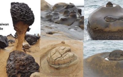 Yehliu Taiwan guide to bizarre rocks and succulent seafood