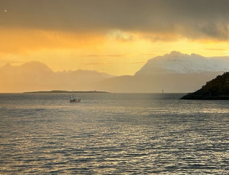 sailing-into-harstad