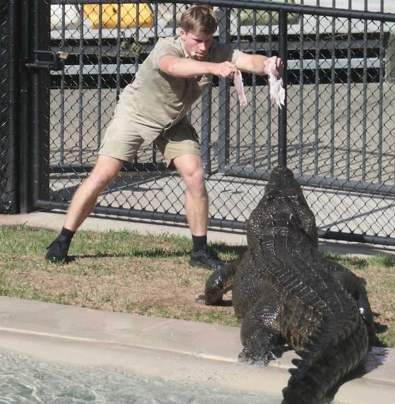 australia-zoo-crocoseum-crocodile-show