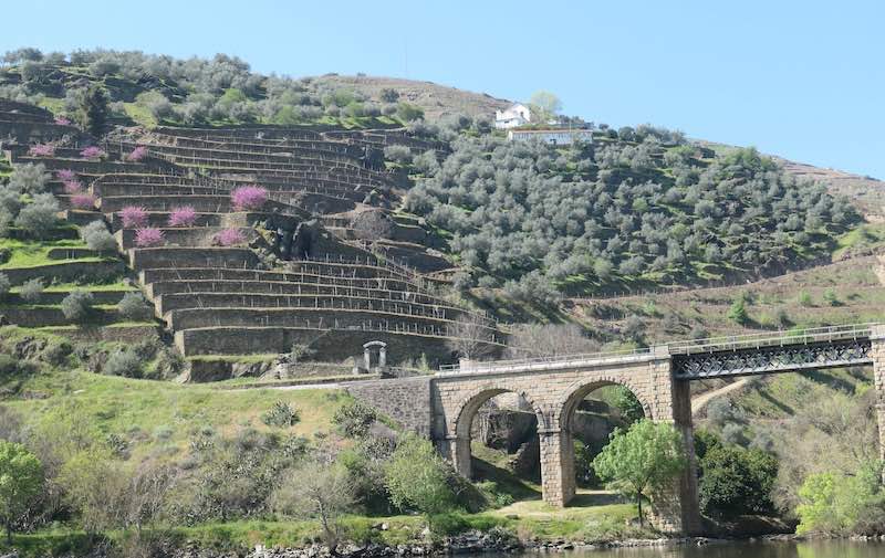 douro-valley-portugal