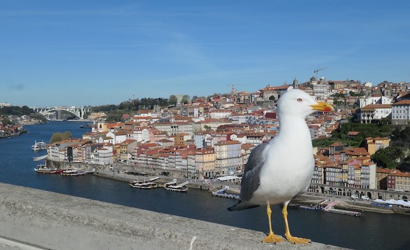 view-of porto-from-cable-car-upper-station-gaia